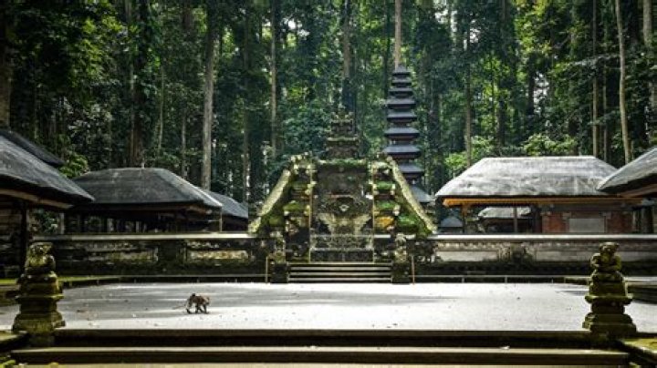A Haven Of Local Delights And Discoveries