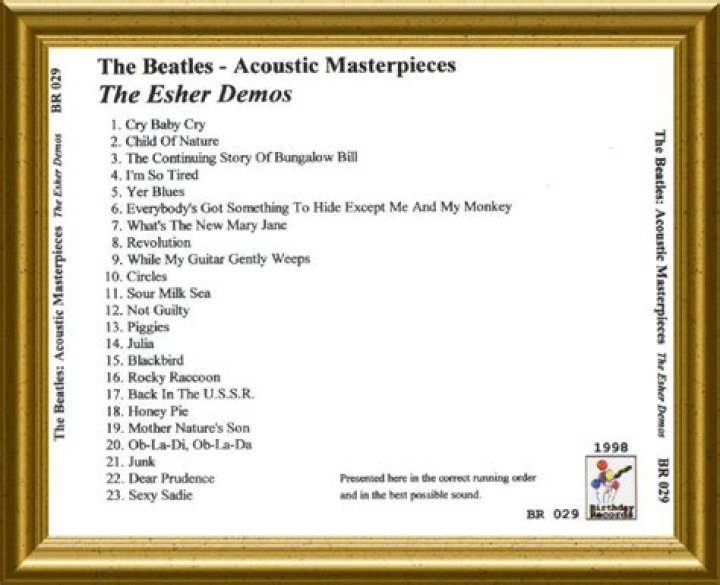 Unveiling The Genius: Maximilian Scheff's Acoustic Masterpieces